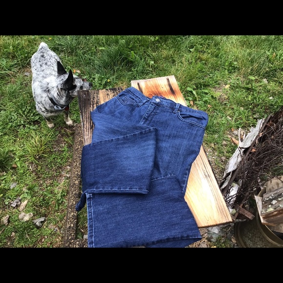 Gloria Vanderbilt denim pants - Picture 2 of 13